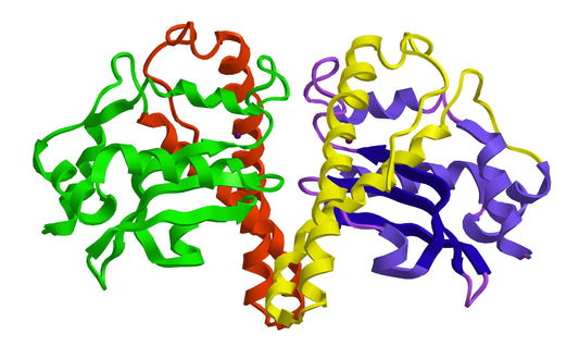 Biomarkers of Oxidative Stress and Reproductive Complications