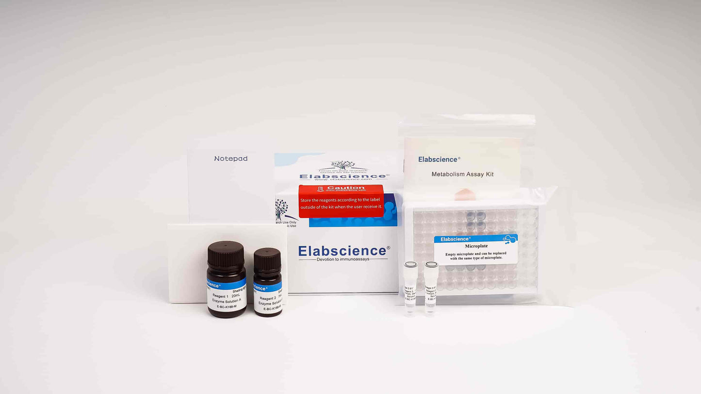 ATP Colorimetric Assay Kit