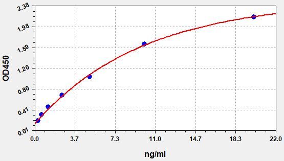Human MMP-9 (Matrix Metalloproteinase 9) ELISA Kit