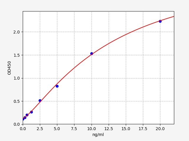 Human CASP3 (Caspase-3) ELISA Kit