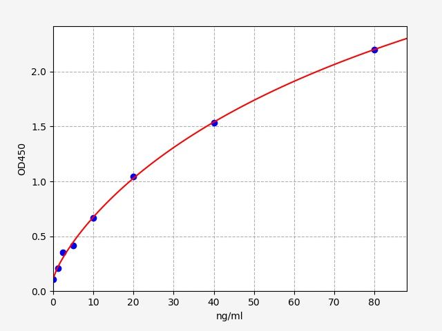 Human SFRP2 (Secreted frizzled-related protein 2) ELISA Kit