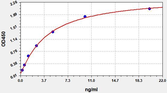 Human OAS2 (2'-5'-oligoadenylate synthase 2) ELISA Kit