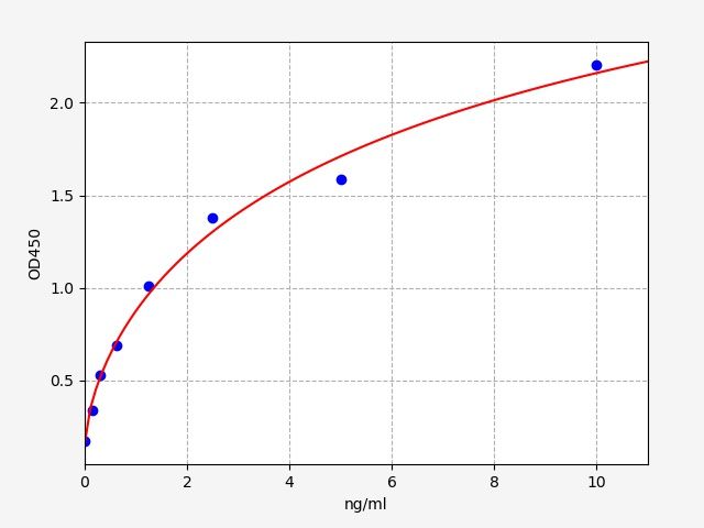 Human ABCB5 (ATP-binding cassette sub-family B member 5) ELISA Kit