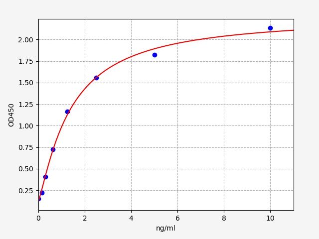 Human SLC5A8 (Solute carrier family 5 member 8) ELISA Kit