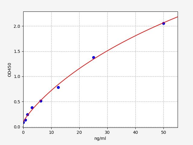 Human ADCY1 (Adenylate cyclase type 1) ELISA Kit