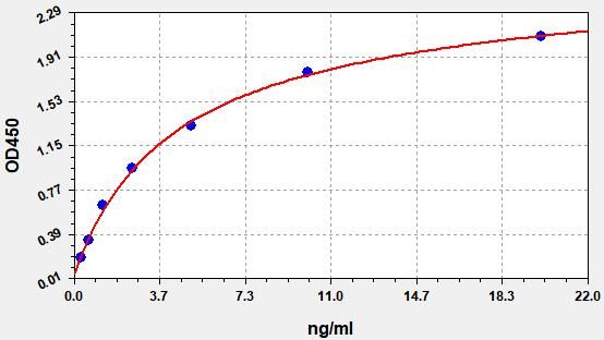 Human TBX3 (T-box transcription factor TBX3) ELISA Kit