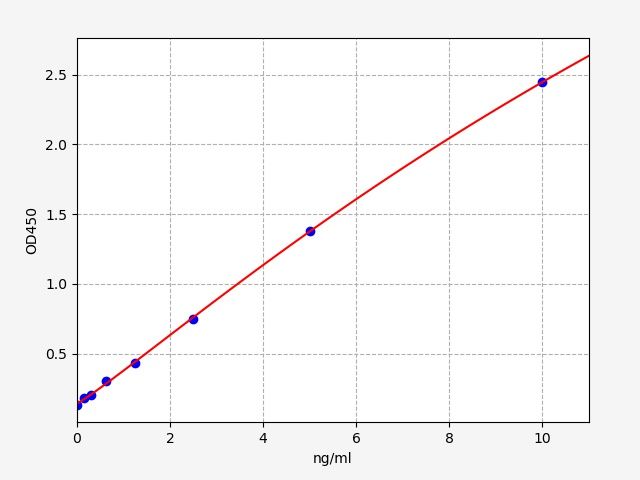 Human NOX4 (NADPH oxidase 4) ELISA Kit