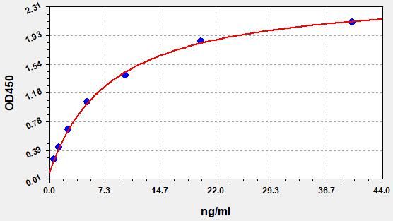 Human MTR (Methionine synthase) ELISA Kit