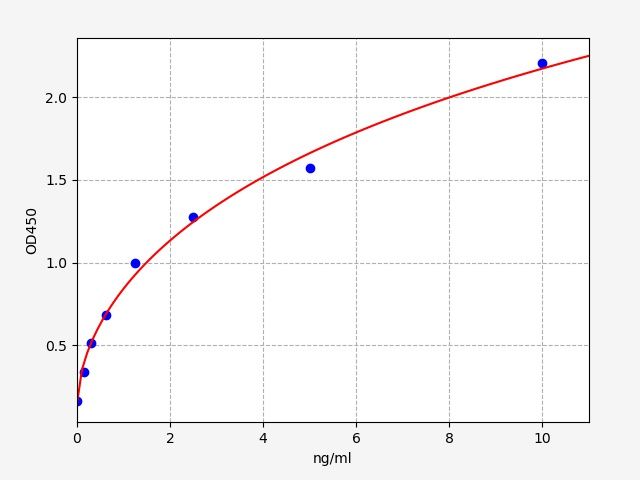 Human BAD (Bcl2 antagonist of cell death) ELISA Kit