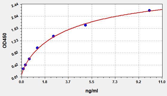 Human CASP4 (Caspase 4) ELISA Kit