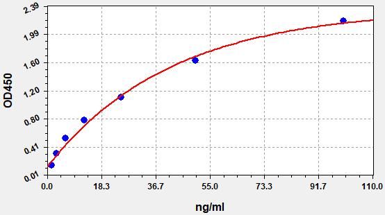 Human SDC4 (Syndecan 4) ELISA Kit