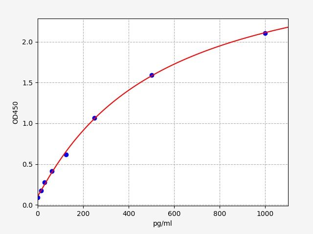Human pro-BDNF (pro Brain Derived Neurotrophic Factor) ELISA Kit