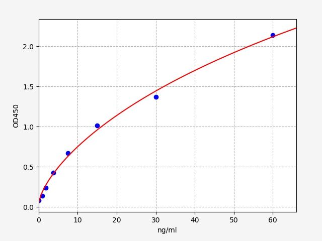 Human APP (Amyloid-beta precursor protein) ELISA Kit