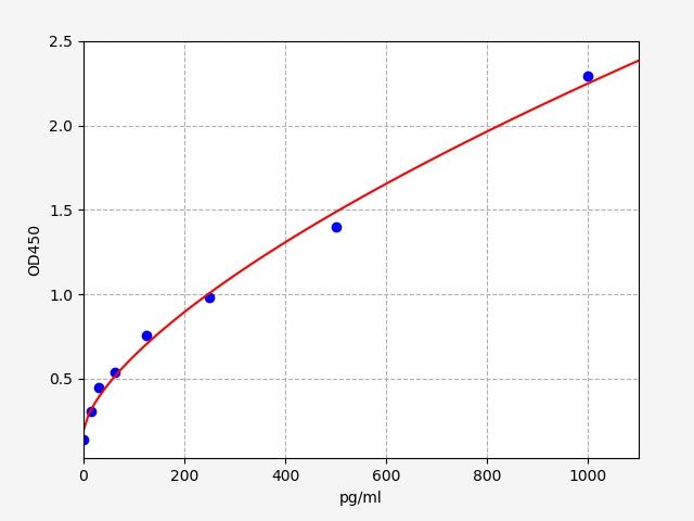 Human CPEB4 (Cytoplasmic polyadenylation element-binding protein 4) ELISA Kit