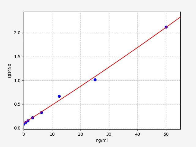 Human anti-phospholipid antibody ELISA Kit