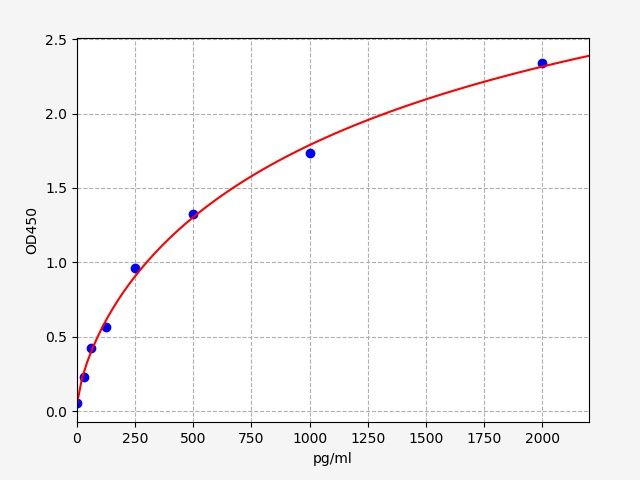 Human BACH1 (Transcription regulator protein BACH1) ELISA Kit