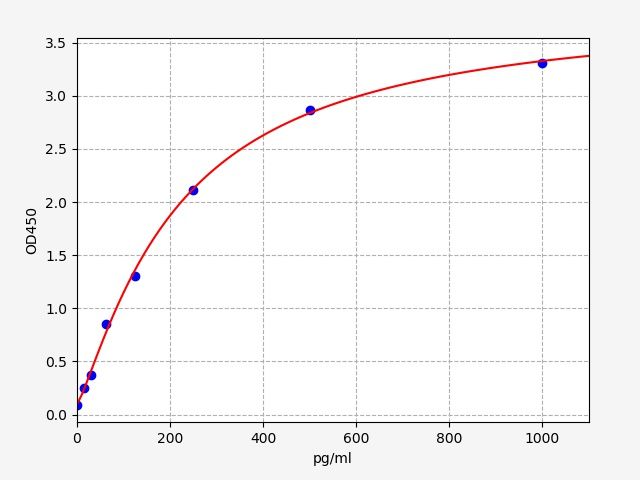 Human ERO1L (ERO1-like protein alpha) ELISA Kit