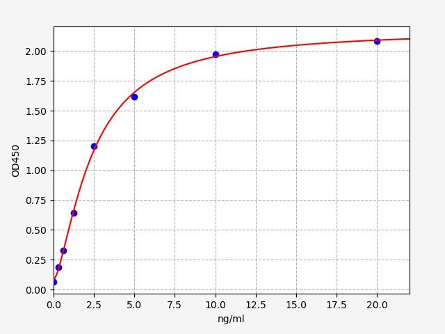 Human HLA-DQB2 (HLA class II histocompatibility antigen, DQ beta 2 chain) ELISA Kit
