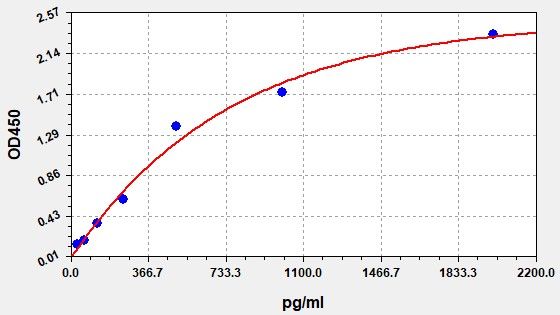 Equine BDNF (Brain Derived Neurotrophic Factor) ELISA Kit