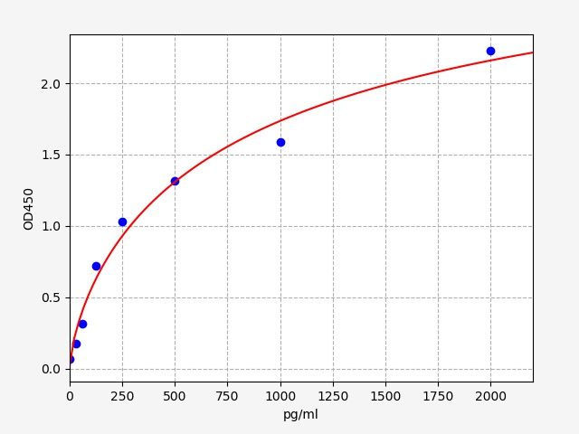 Porcine BDNF (Brain Derived Neurotrophic Factor) ELISA Kit