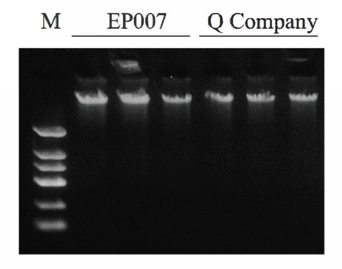 Blood/Cell/Tissue Genomic DNA Extraction Kit