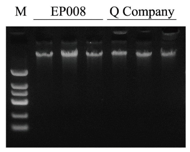 Whole Blood DNA MiniPrep Kit