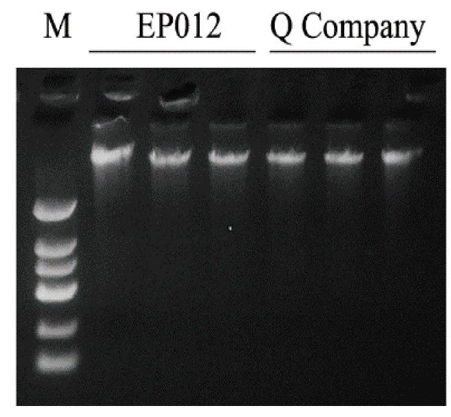 Stool Genome DNA Extraction KIT