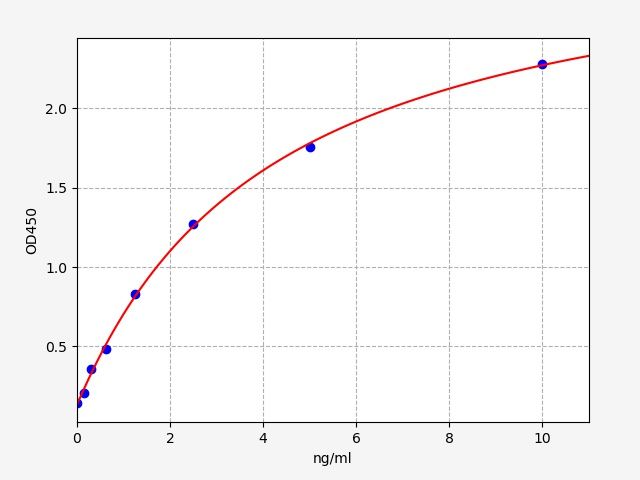 Rat ANG1 (Angiopoietin-1) ELISA Kit