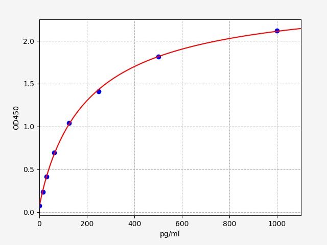 Rat VEGF-B (Vascular Endothelial Cell Growth Factor B) ELISA Kit