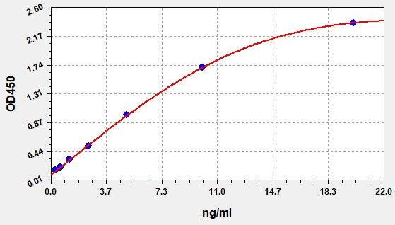 Rat CASP3 (Caspase 3) ELISA Kit