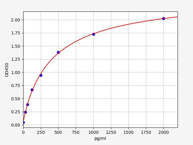Rat CTGF (Connective tissue growth factor) ELISA Kit