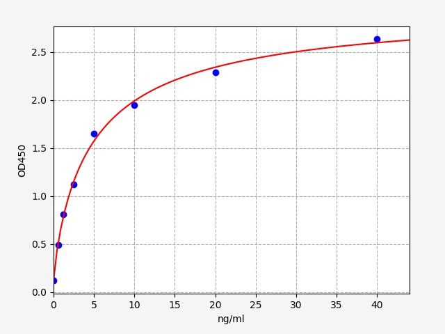 Rat CYP3A2 (Cytochrome P450 3A2) ELISA Kit