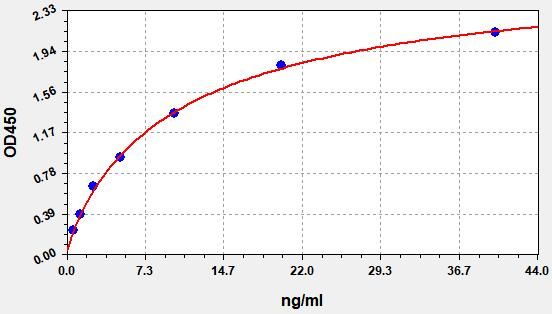 Rat CYP17A1 (Steroid 17-alpha-hydroxylase/17,20 lyase) ELISA Kit