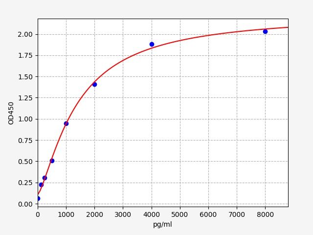 Rat CYP19A1 (Cytochrome P450 19A1) ELISA Kit