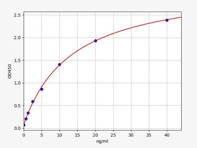 Rat SYP (Synaptophysin) ELISA Kit