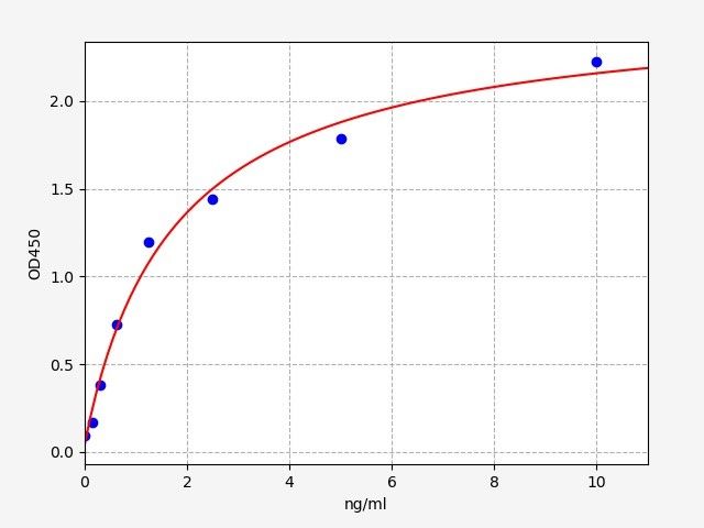 Rat STE (Estrogen sulfotransferase, isoform 3) ELISA Kit