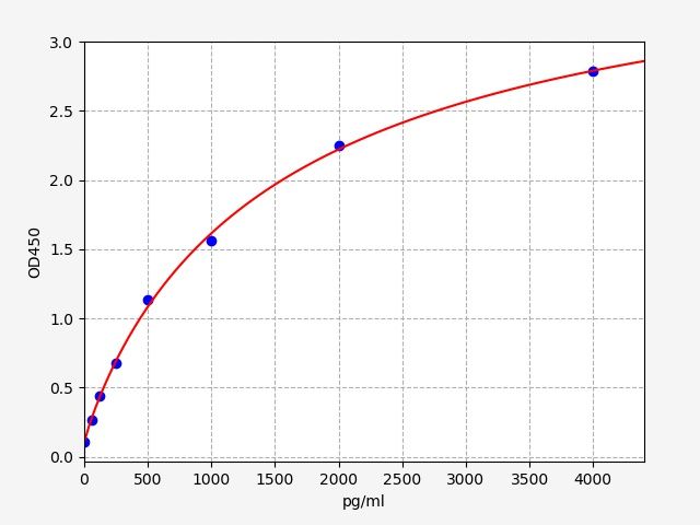 Rat F8 (Coagulation Factor VIII) ELISA Kit