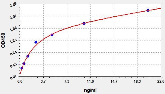 Rat JNK (C-Jun N-Terminal Kinases) ELISA Kit