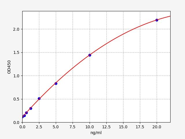 Rat Beta-actin (Beta actin) ELISA Kit