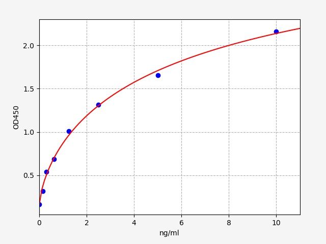 Rat RIPK1 (Receptor Interacting Serine Treonine Kinase 1) ELISA Kit