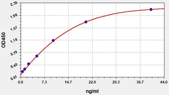 Rat IgE (Immunoglobulin E) ELISA Kit