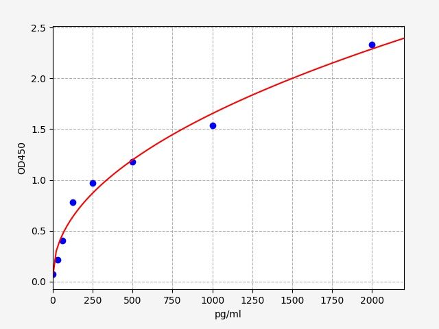 Rat NOTCH1 (Neurogenic locus notch homolog protein 1) ELISA Kit