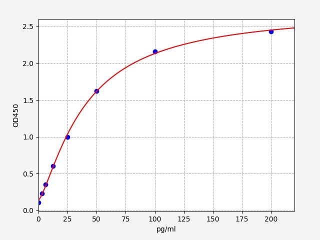 Rabbit IFN-Gamma (Interferon Gamma) ELISA Kit