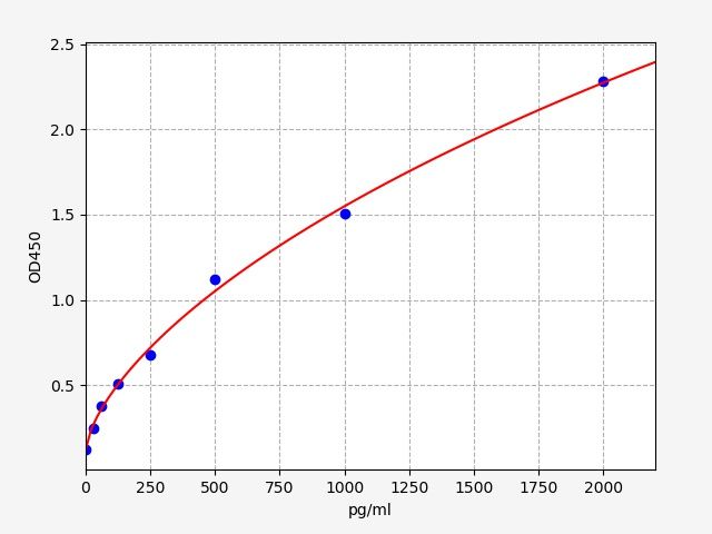 Rabbit IL-12 (Interleukin 12) ELISA Kit