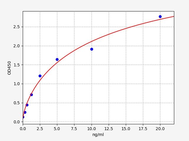 Rabbit MMP-2 (Matrix Metalloproteinase 2) ELISA Kit
