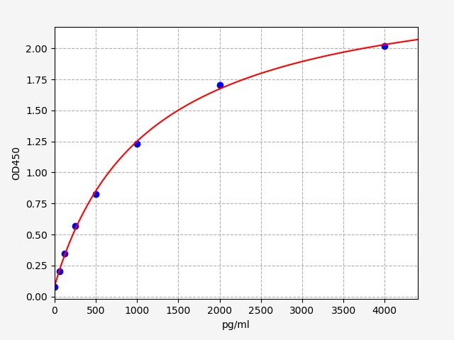 Rabbit OPG (Osteoprotegerin) ELISA Kit
