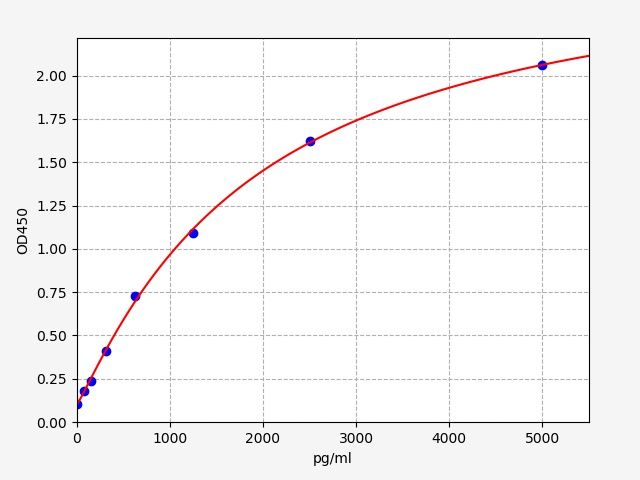 Rabbit PECAM1/CD31 (Platelet endothelial cell adhesion molecule) ELISA Kit