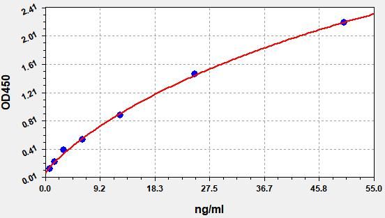 Human CAMKK2 (Calcium/calmodulin-dependent protein kinase kinase 2) QuickTest ELISA Kit