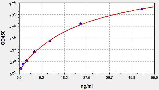 Rat BSP (Bone Sialoprotein) QuickTest ELISA Kit