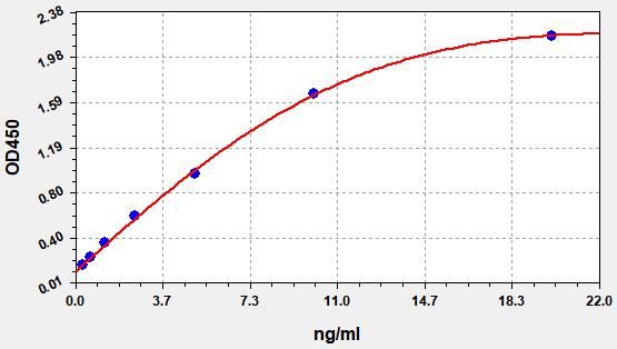 Rat MMP13 (Matrix Metalloproteinase 13) QuickTest ELISA Kit